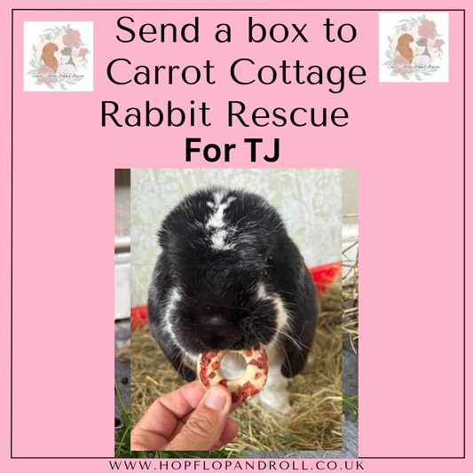 Mystery box for Carrot Cottage Rabbit Rescue