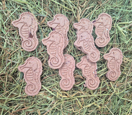 Starfish