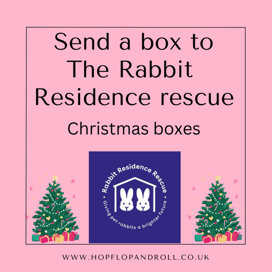 Christmas box for Rabbit Residence rescue