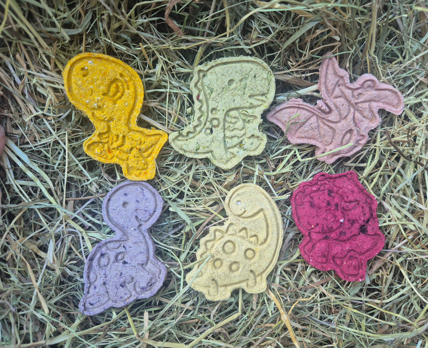 Dinosaurs