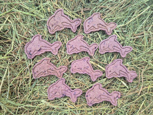 Dolphins